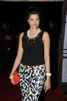 Hamsa Nandhini at Attarintiki Daaredi Audio